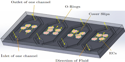 Microfluidic Device for In-Vitro Studies