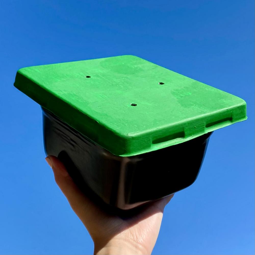 Black square plastic container with green lid