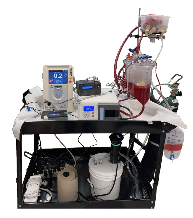 Kidney Transplant Pump Layout