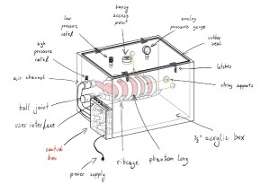 Moving Anatomical Phantom Ventilator