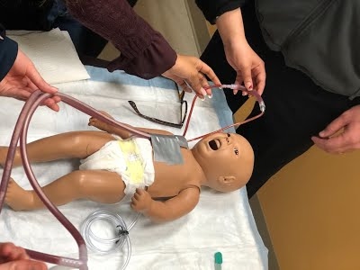 ECMO Oxygenation Simulator