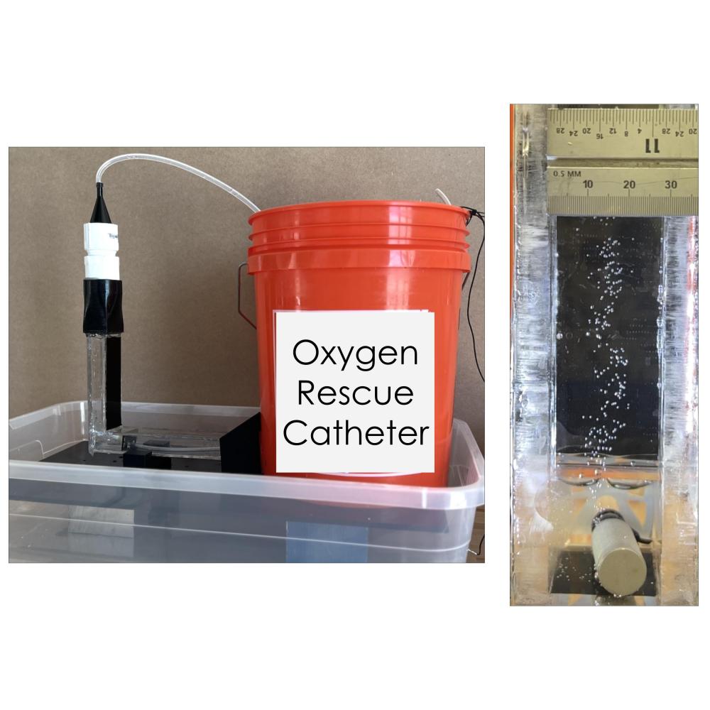 The Oxygen Rescue Catheter, alongside bubbles produced by the device