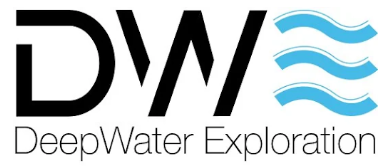 DWE Company Logo